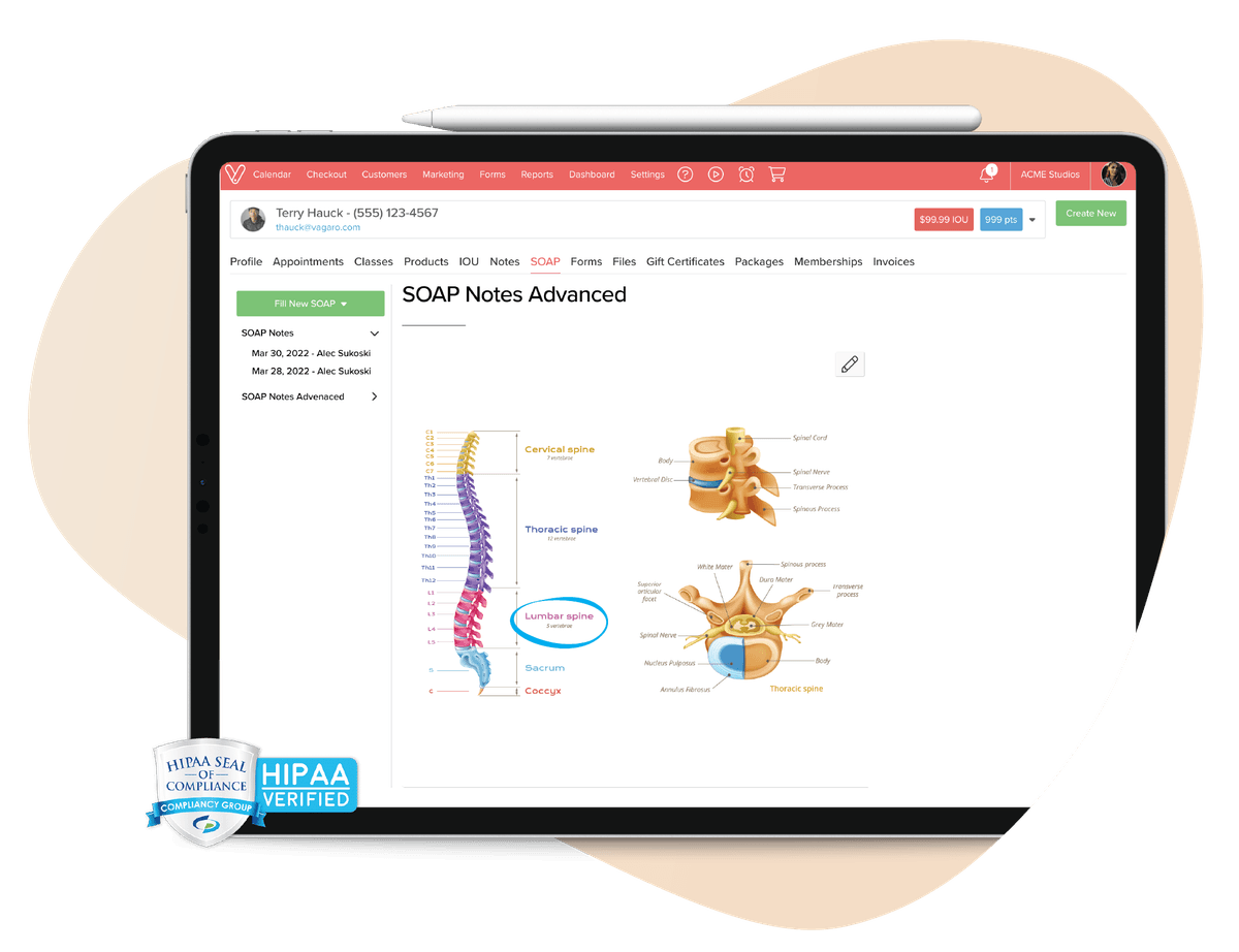 Soap notes with body diagram in Vagaro chiropractic software. HIPAA compliance seal overlayed in the bottom left corner.